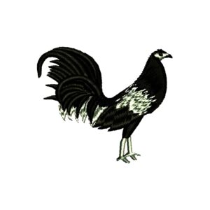 810
