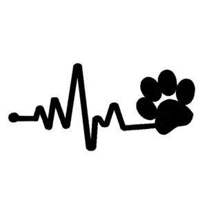 905