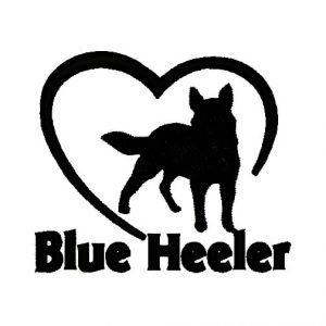 959 - Perro corazón Blue Heeler