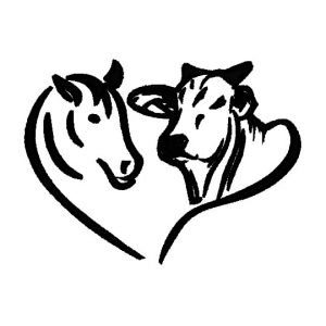 960 - Caballo y toro