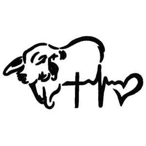 970 - Toros Cap y Signo de Fe esperanza y amor