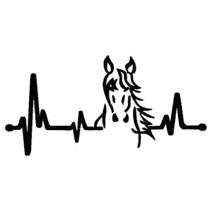 979 - Caballo sobre pulsaciones
