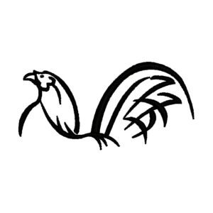 981 - Gallo fino
