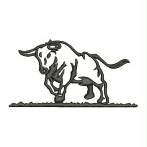 1015 - Toro en pasto
